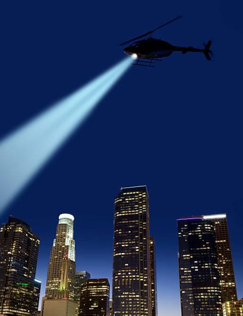 helecopter What Do Rental Background Checks Show
