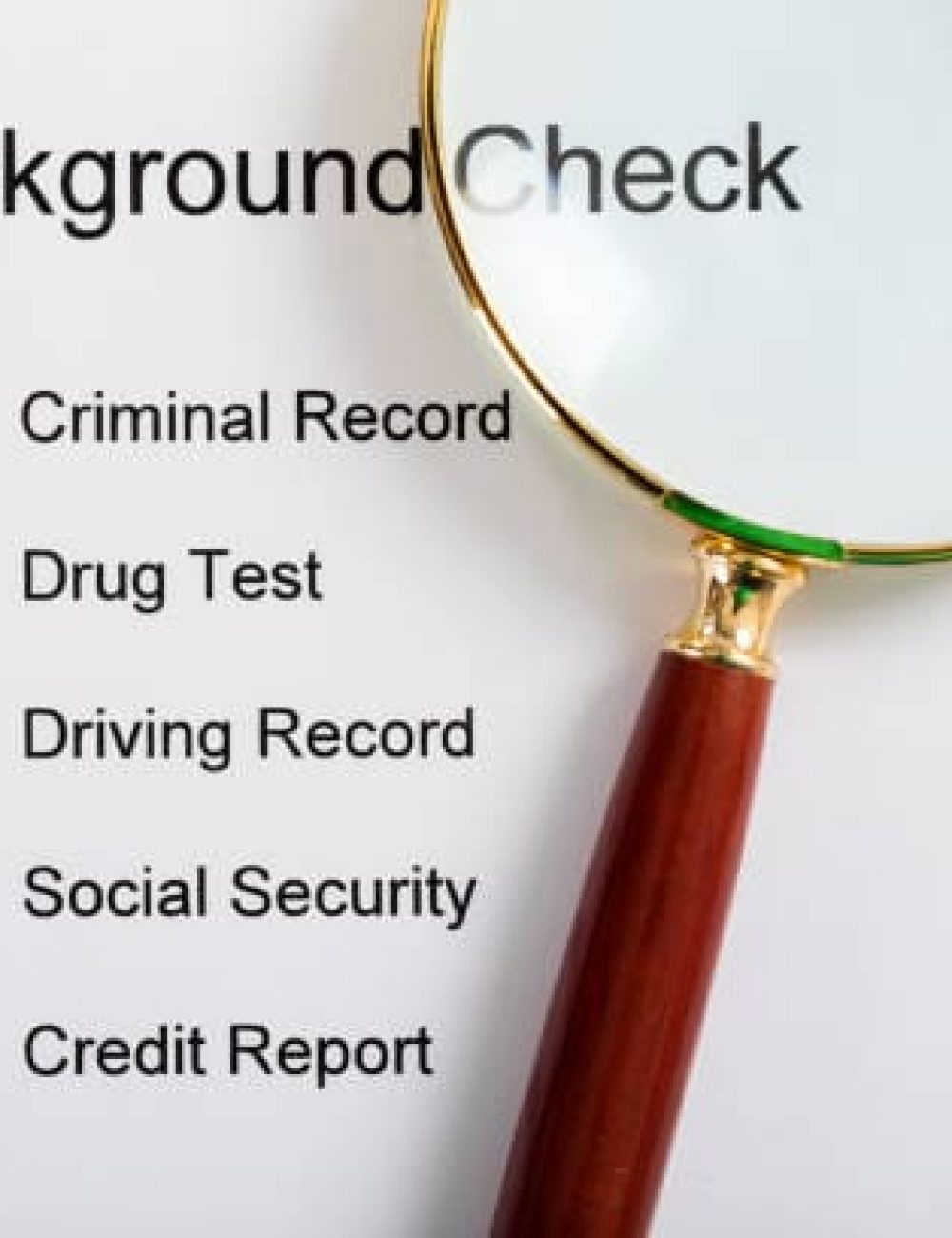 Highest Rated Background Check Sites